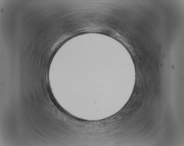 X0000062870011200602101703