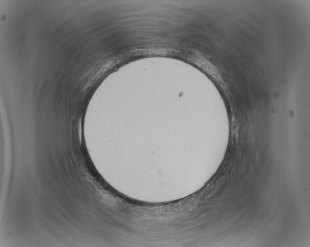 X0000062870013200602101703