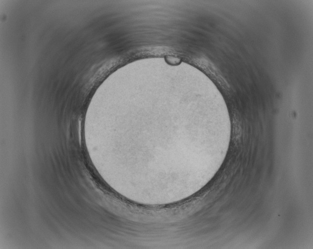 X0000062870014200602101703