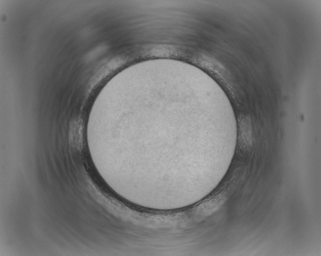 X0000062870016200602101703