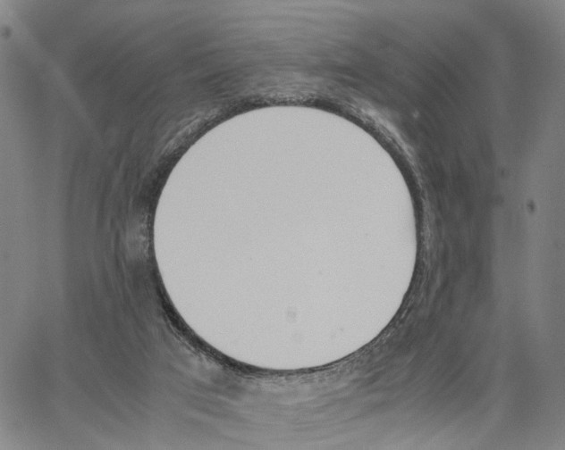 X0000062870017200602101703