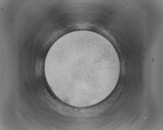 X0000062870018200602101703