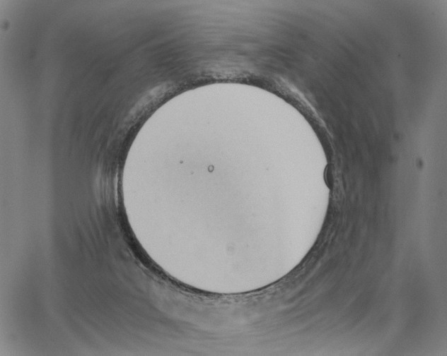 X0000062870019200602101703