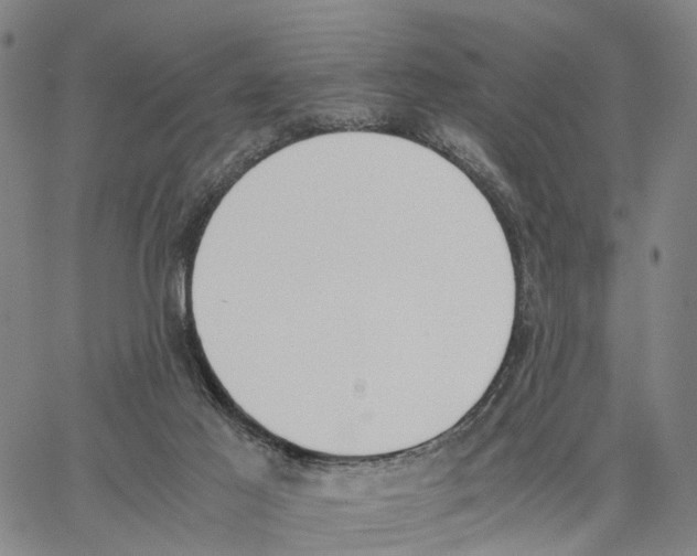 X0000062870021200602101703