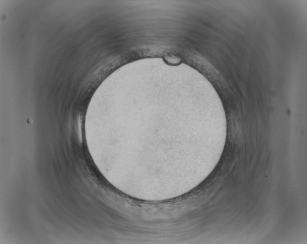 X0000062870022200602101703