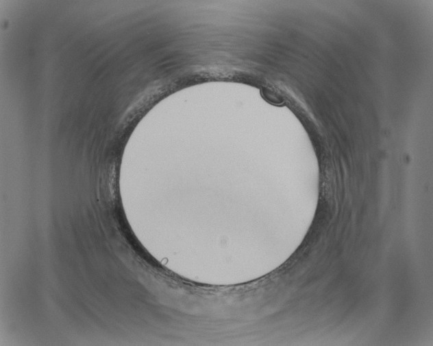 X0000062870023200602101703