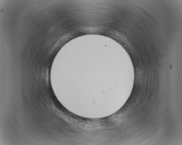 X0000062870024200602101703