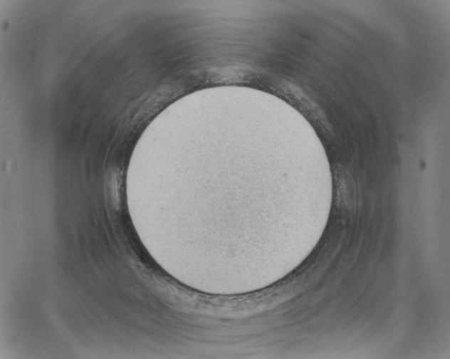 X0000062870026200602101703