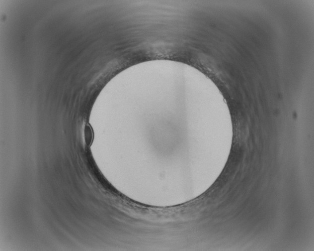 X0000062870027200602101703