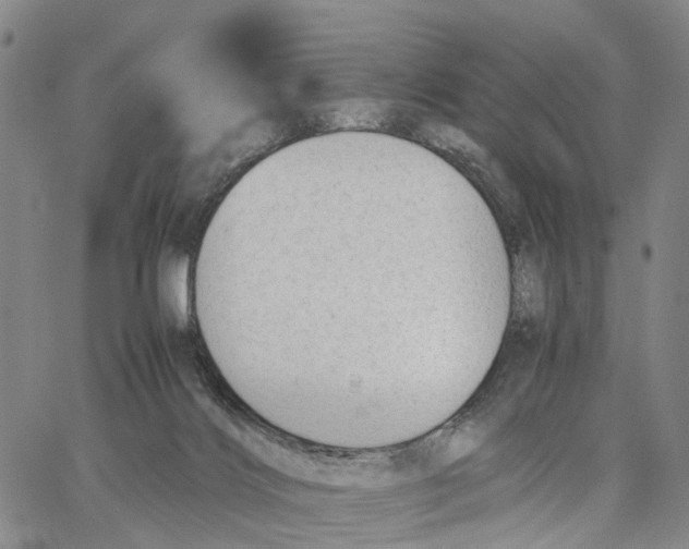 X0000062870028200602101703