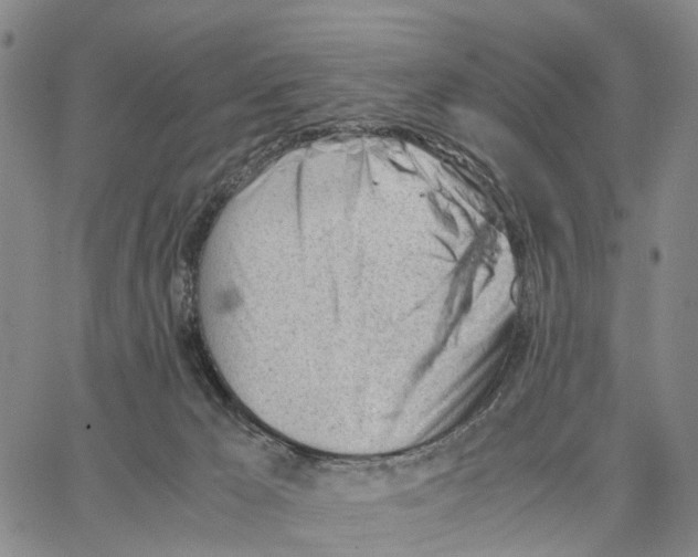 X0000062870029200602101703