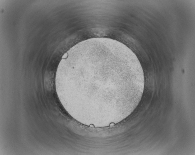 X0000062870030200602101702