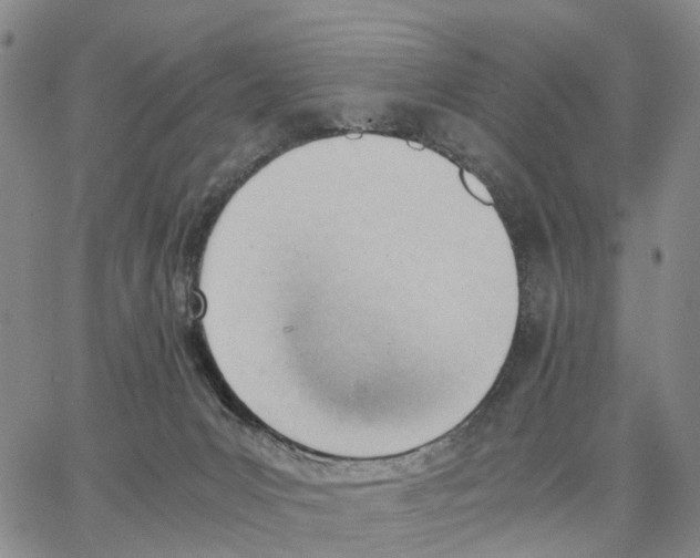 X0000062870031200602101702