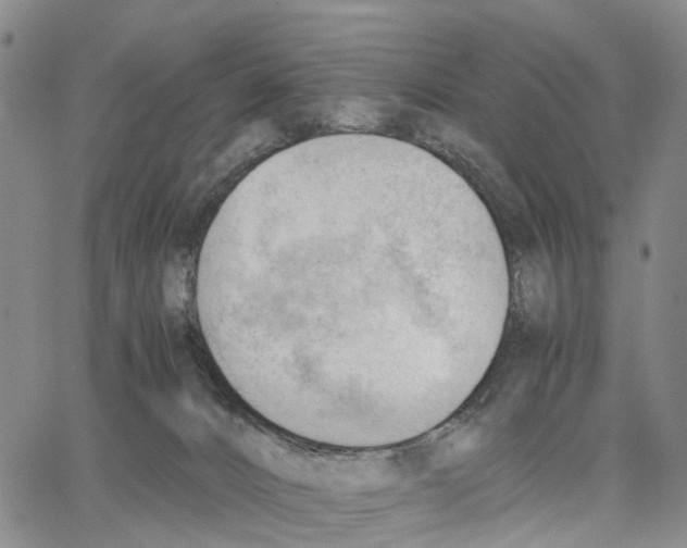 X0000062870032200602101702