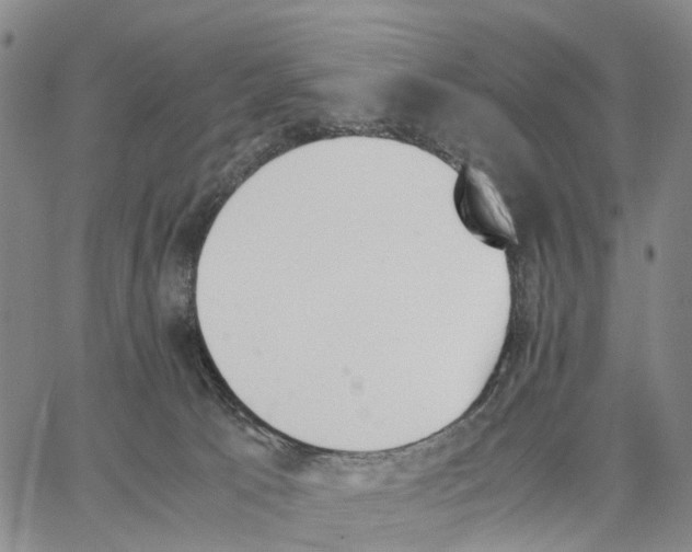 X0000062870033200602101702