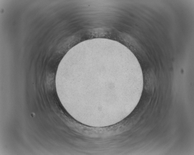 X0000062870034200602101702