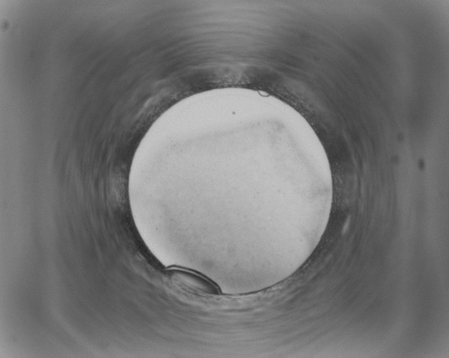 X0000062870035200602101702