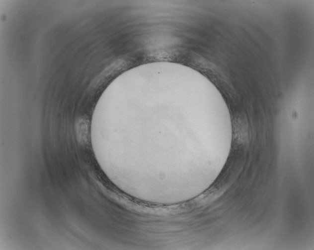 X0000062870036200602101702