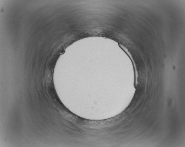 X0000062870037200602101702