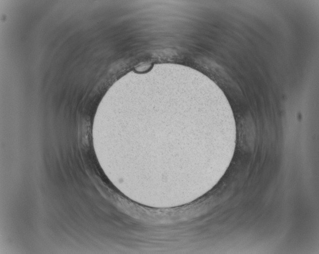 X0000062870038200602101702