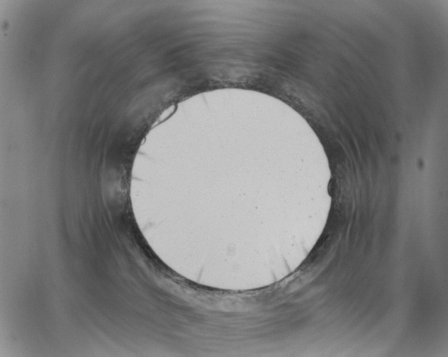 X0000062870040200602101702