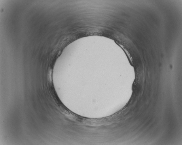 X0000062870041200602101702