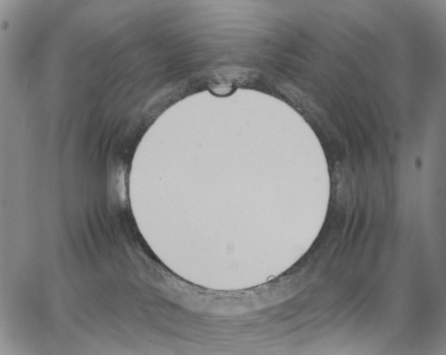 X0000062870042200602101702