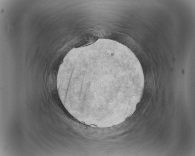 X0000062870043200602101702