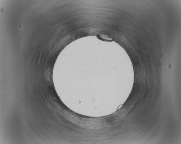 X0000062870044200602101702