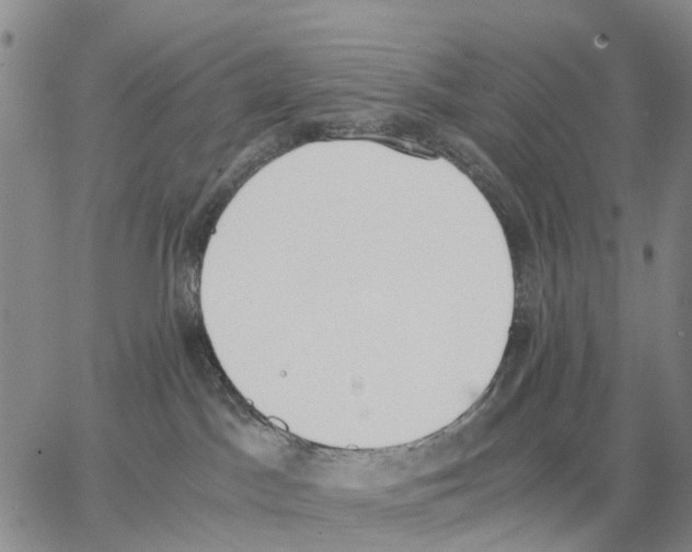 X0000062870045200602101702