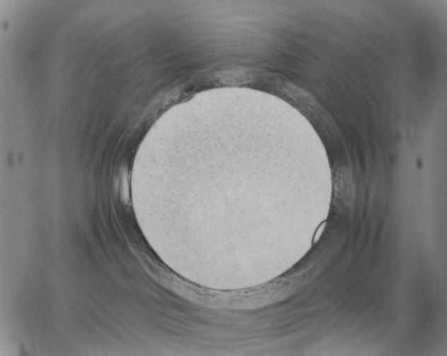 X0000062870046200602101702