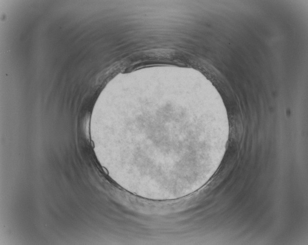 X0000062870047200602101702