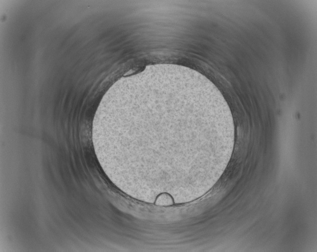 X0000062870048200602101702