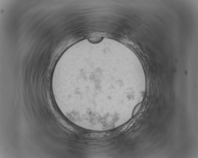 X0000062870049200602101701