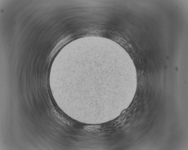 X0000062870051200602101701