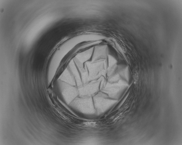 X0000062870052200602101701