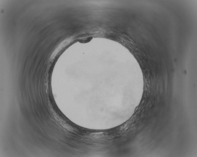 X0000062870054200602101701