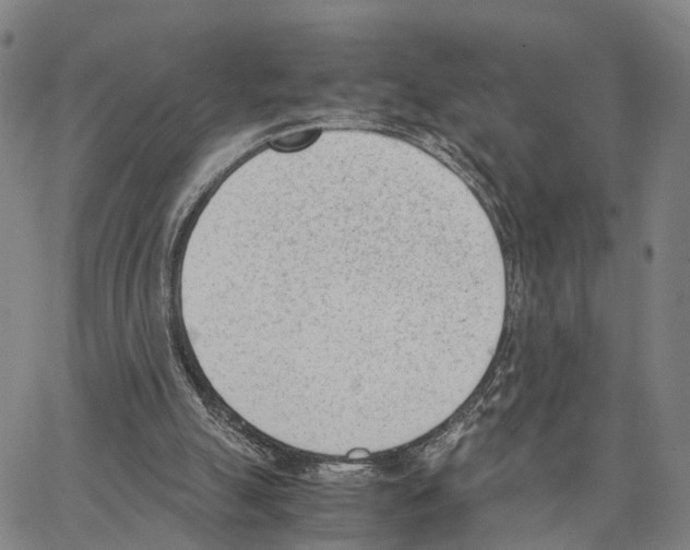 X0000062870055200602101702