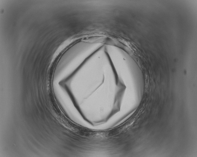 X0000062870056200602101702