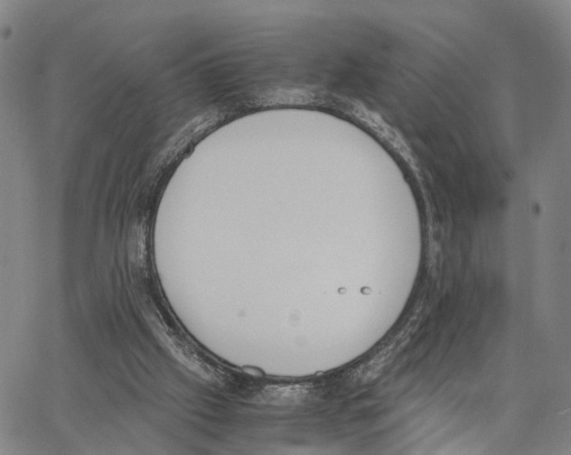 X0000062870057200602101702