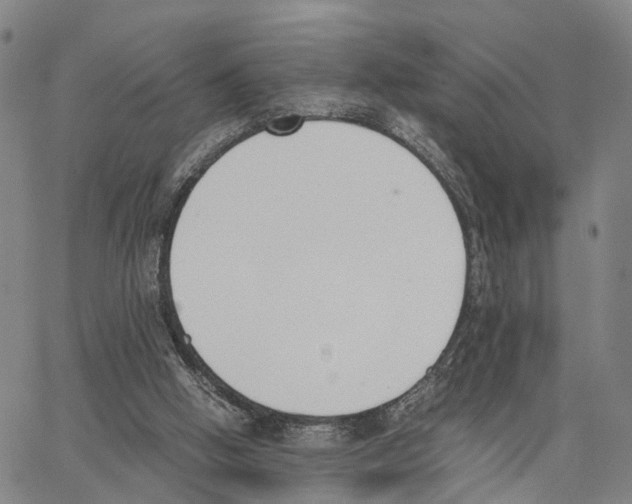 X0000062870058200602101702