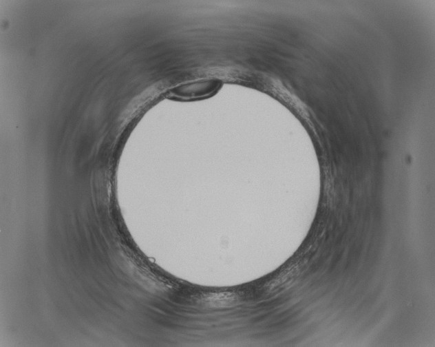 X0000062870059200602101702