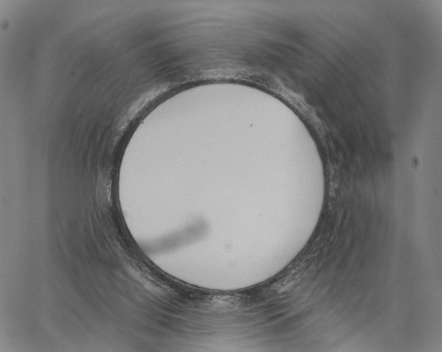 X0000062870060200602101702