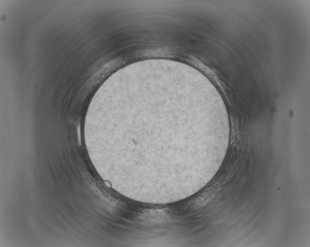 X0000062870061200602101702