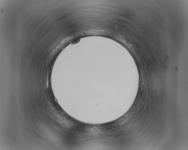 X0000062870062200602101702