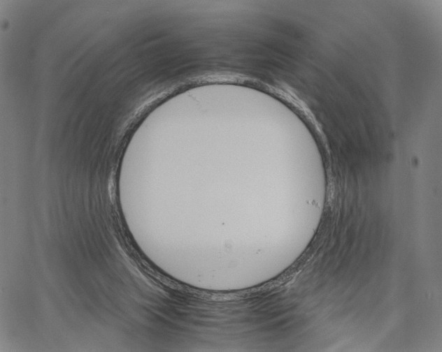 X0000062870063200602101702