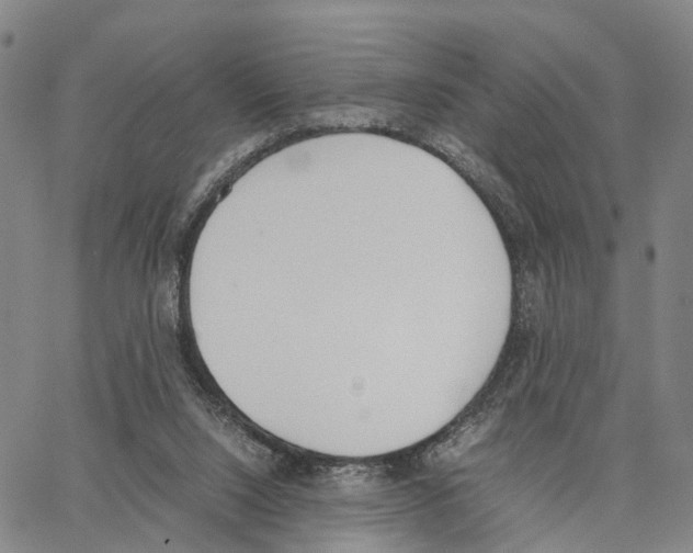 X0000062870064200602101702