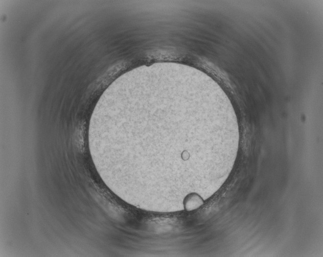 X0000062870065200602101702