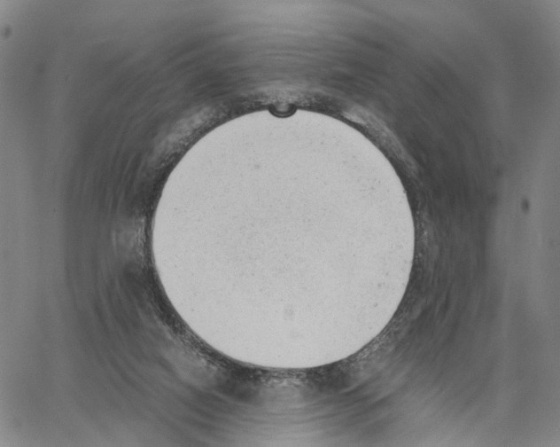 X0000062870066200602101702