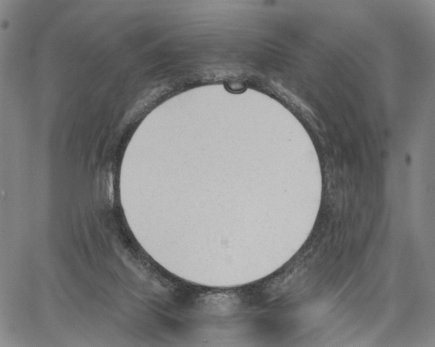 X0000062870067200602101702